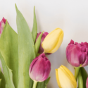 Blog – 3.12.21 spring cleaning new england