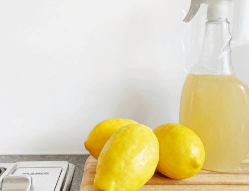 March 2022: New England Spring Cleaning Specials