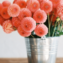 05.13.22 Blog – Spring Cleaning spring clean for you