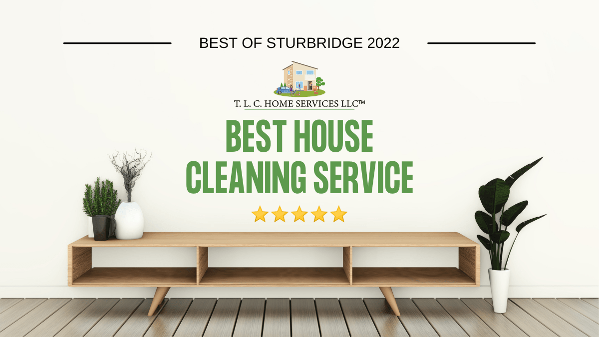 Best Home Cleaners 2022
